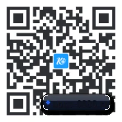 苹果版 iOS 二维码